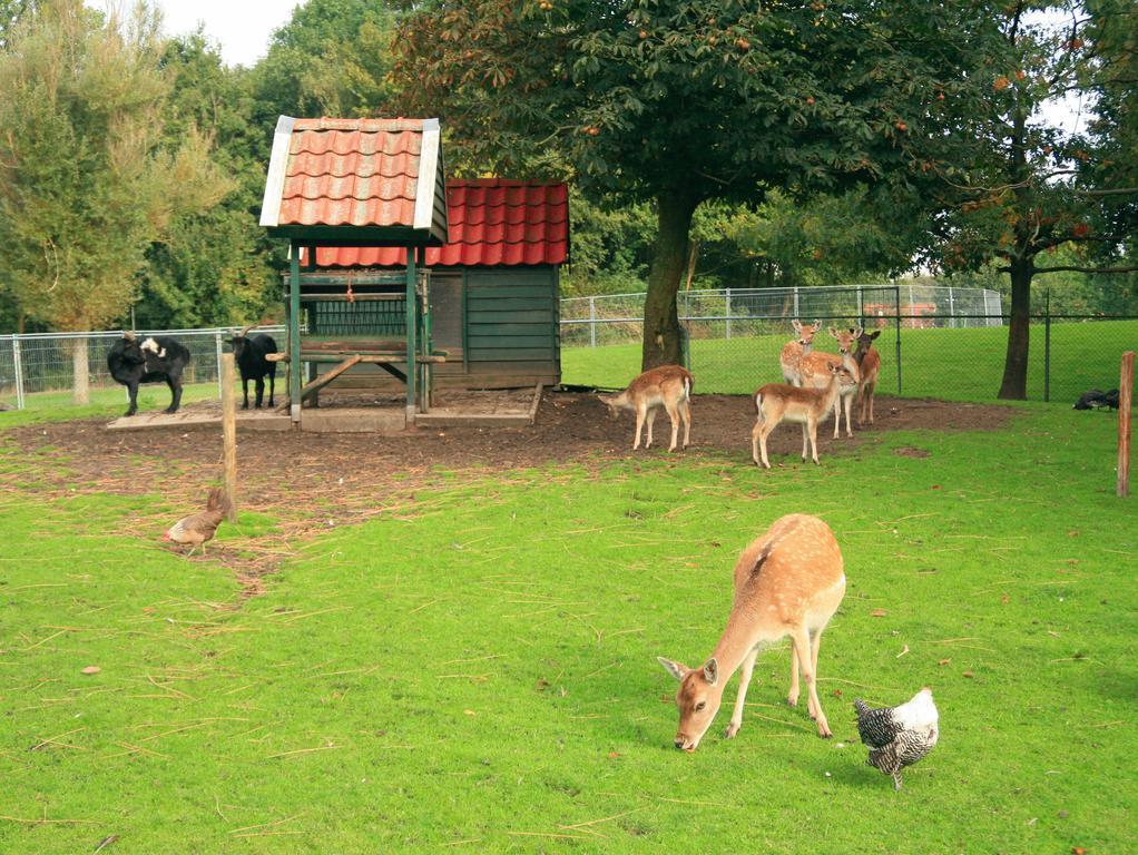 Villapark Weddermeer Exteriér fotografie